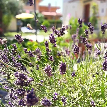 Lejlighed A Casa Di Iole Fiumicino
