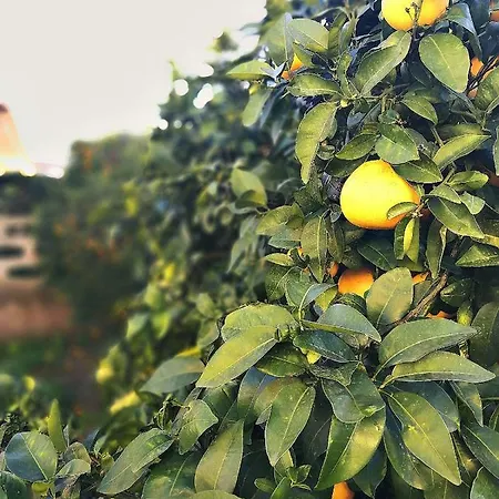 A Casa Di Iole Lejlighed *