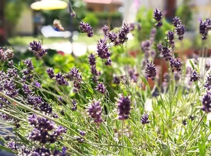 Apartment A Casa Di Iole Fiumicino