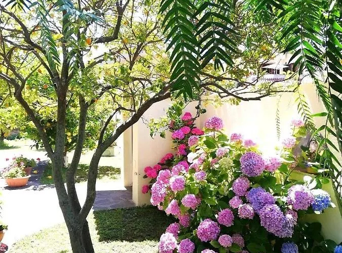 Apartment A Casa Di Iole *